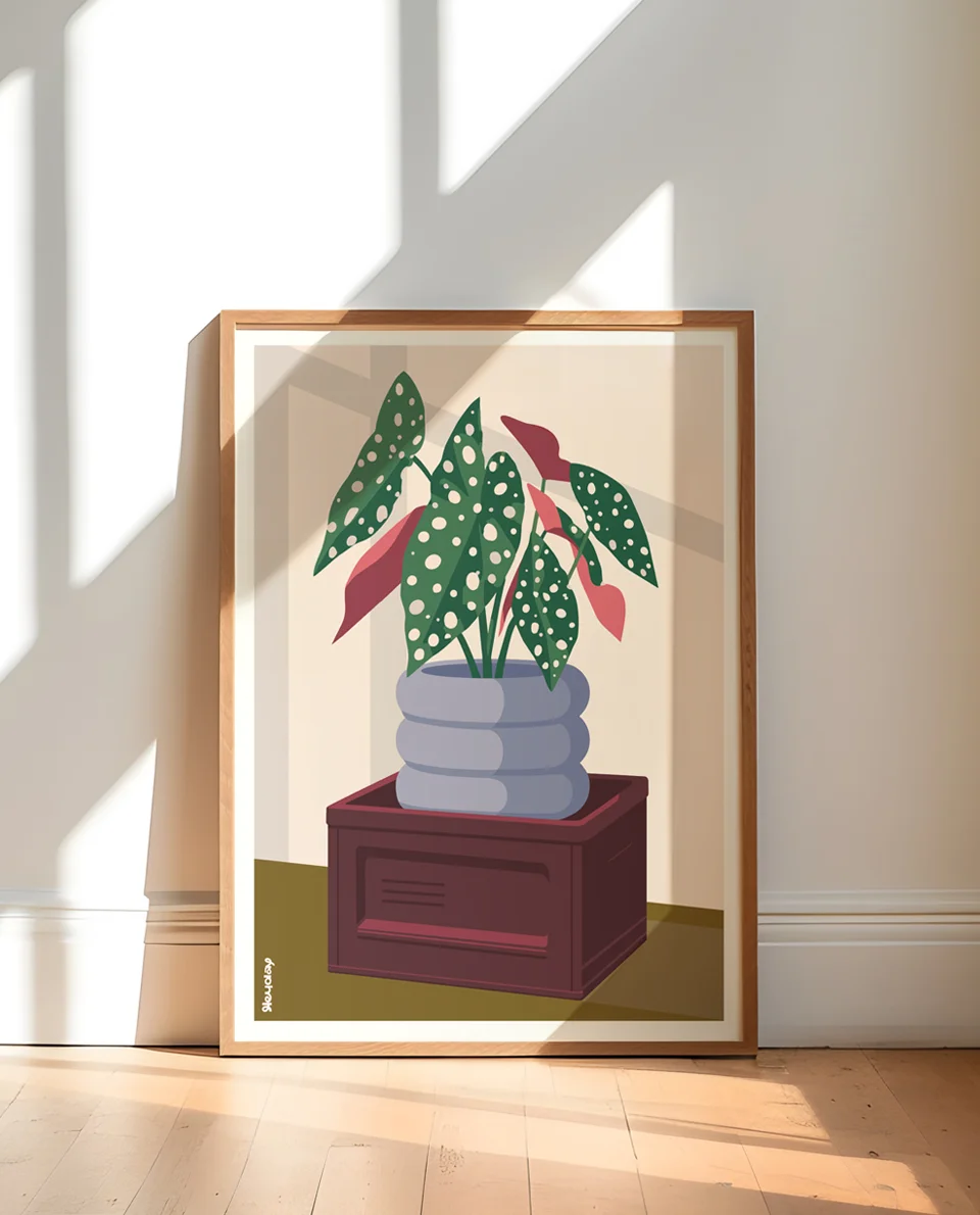 Heyday - Poster - Stippenplant - Nieuwe woning poster - Begonia corallina -Plantenposter - Botanisch
