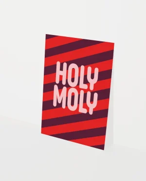 Heyday - Kerstkaart - Wenskaart - Holy moly - Strepen